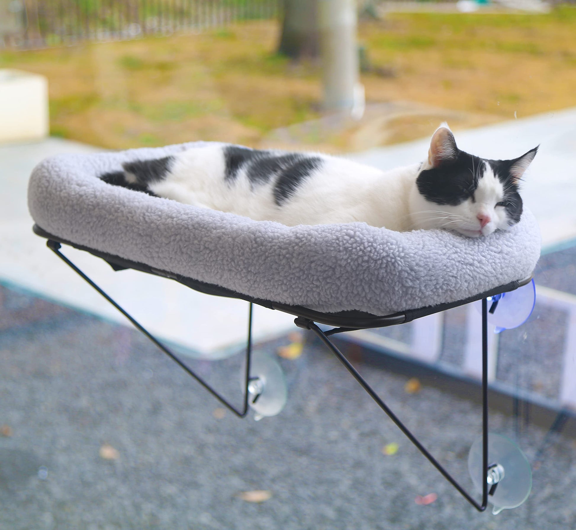 Cat Window Perch - 100% Metal Supported from Below - Comes with Warm Spacious Pet Bed - Cat Window Hammock for Large Cats & Kittens - for Sunbathing, Napping & Overlooking (White)
